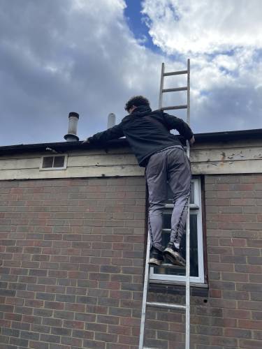 Roofer on a ladder inspecting guttering and soffits on a flat-roofed extension